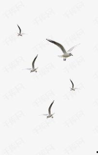 国产蓝色飞燕素材视频,翱翔天际的国产航空传奇