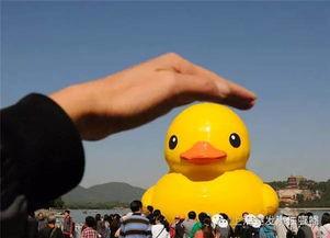 大黄鸭 国产 视频