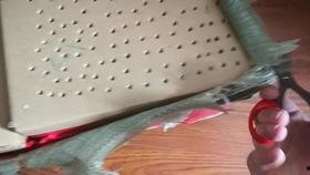 国产宠物机开箱视频大全,视频大全带你领略科技魅力