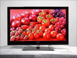 国产高清视频在线娱乐