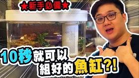 国产斗鱼吐泡视频,揭秘水中精灵的呼吸奥秘