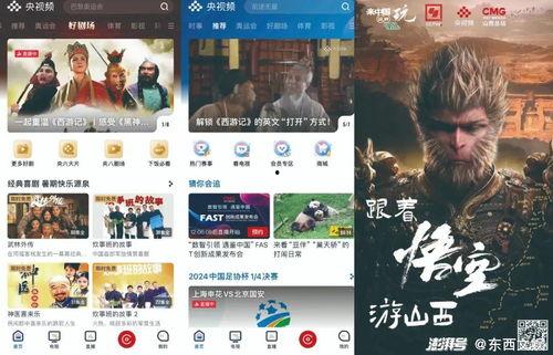 国产与精品视频