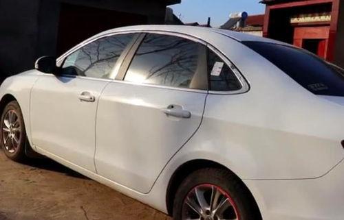 小伙买国产奇瑞汽车视频